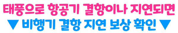 일본-태풍-후쿠오카-오사카-도쿄-산산-피해-상황-항공기-결항-지연-보상-알아보기