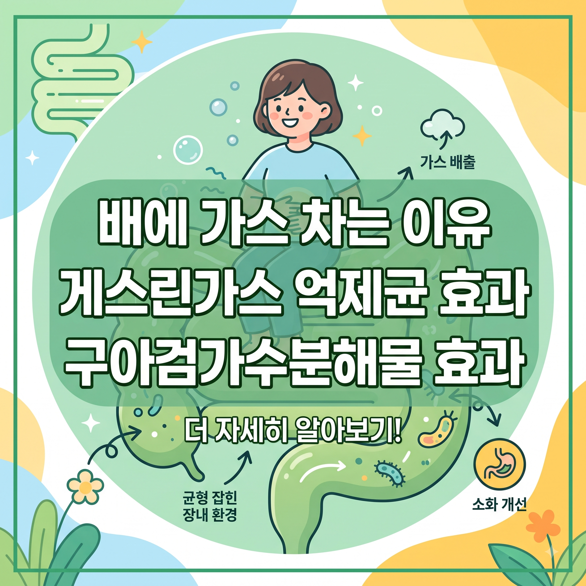 배에 가스 차는 이유 게스린가스 억제균 효과