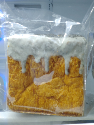 제주도에서만-판다는-&amp;#39;흑임자-품은-큐브-브레드&amp;#39;-스타벅스-앱에서-배송으로-시켜먹기