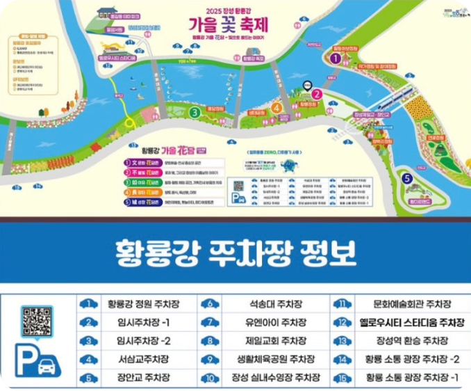 장성 황룡강 가을꽃축제 (행사정보,주차요금,입장료)
