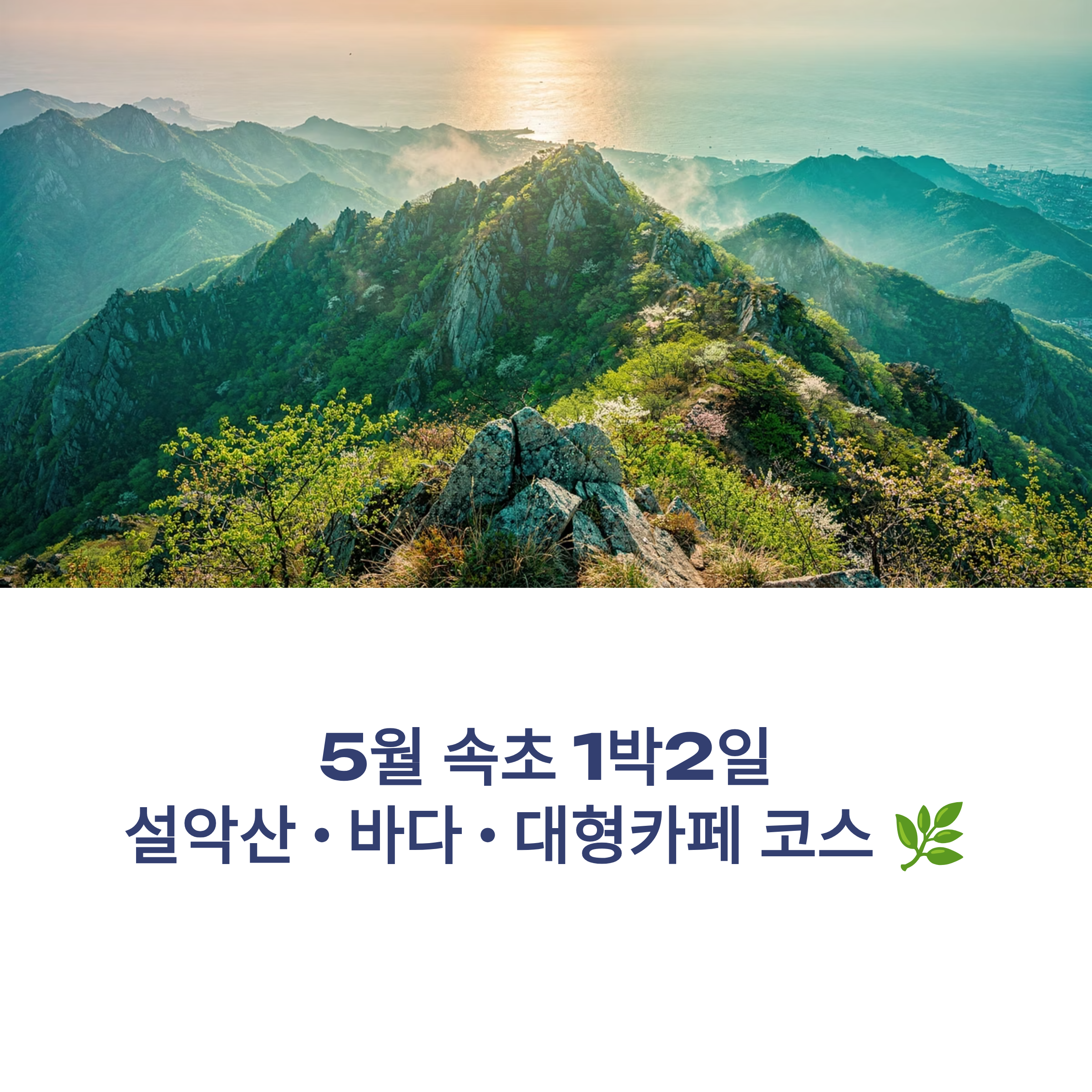 5월 속초 1박2일여행 설악산과 바다 대형카페 코스 정리