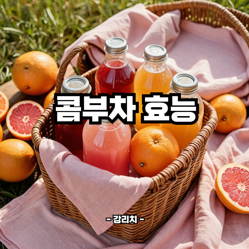 콤부차 효능