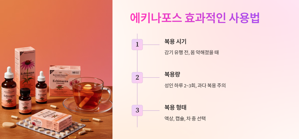 에키나포스 효과적인 사용법(복용법)