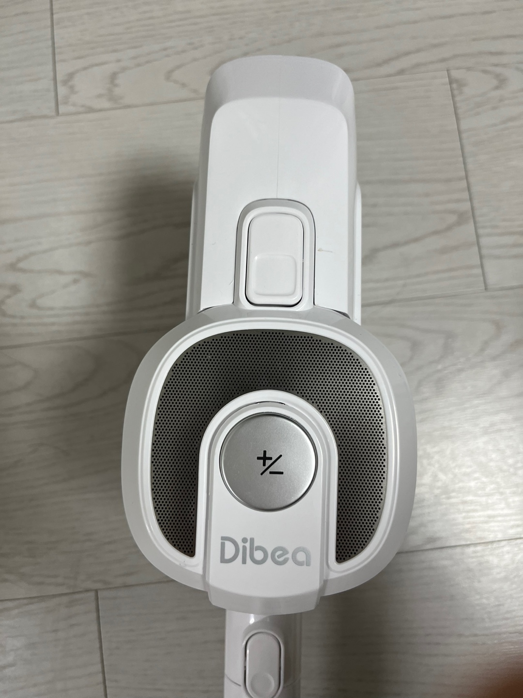 본체