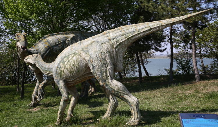 해남 공룡박물관