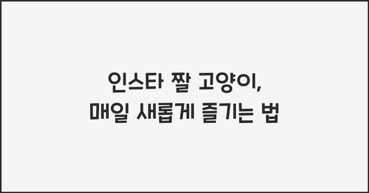 인스타 짤 고양이