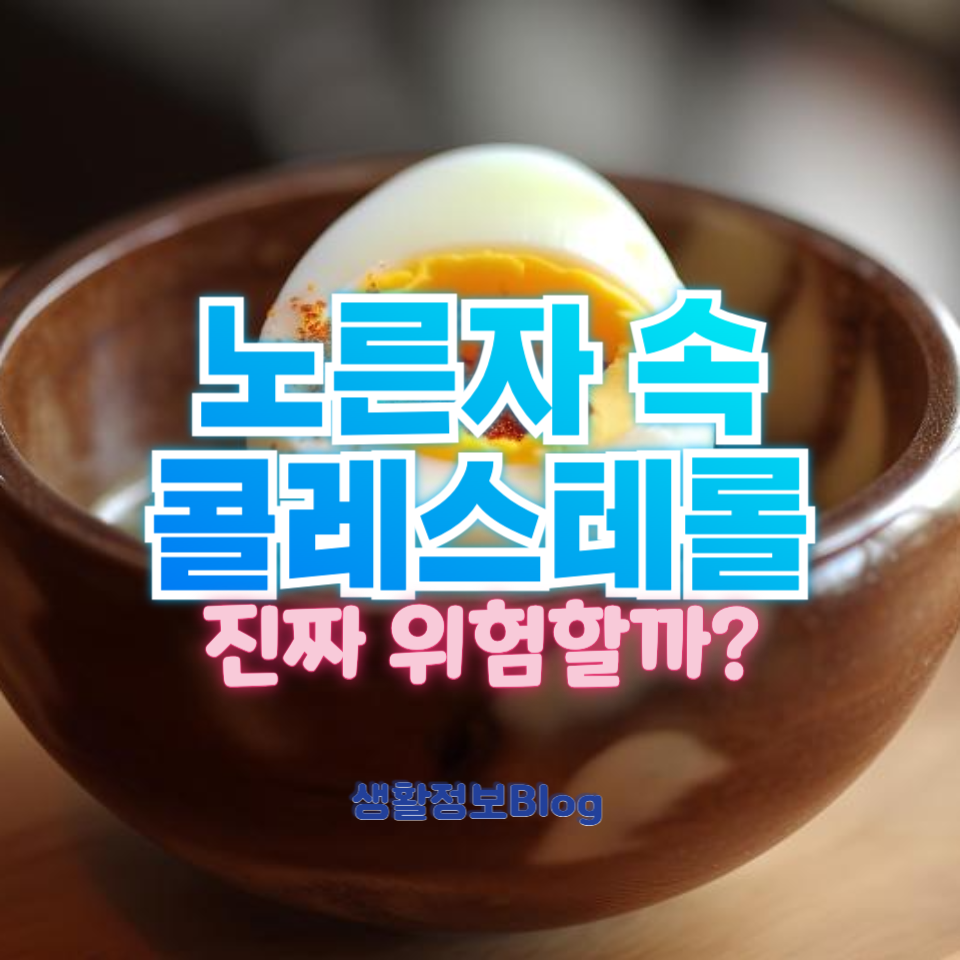 노른자 속 콜레스테롤