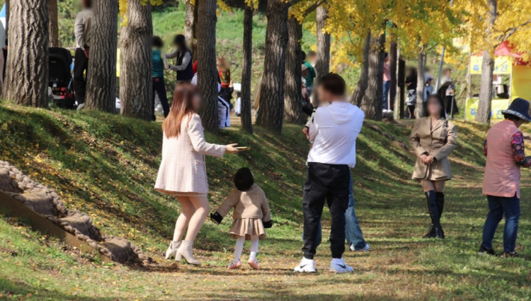 괴산 문광저수지 은행나무길