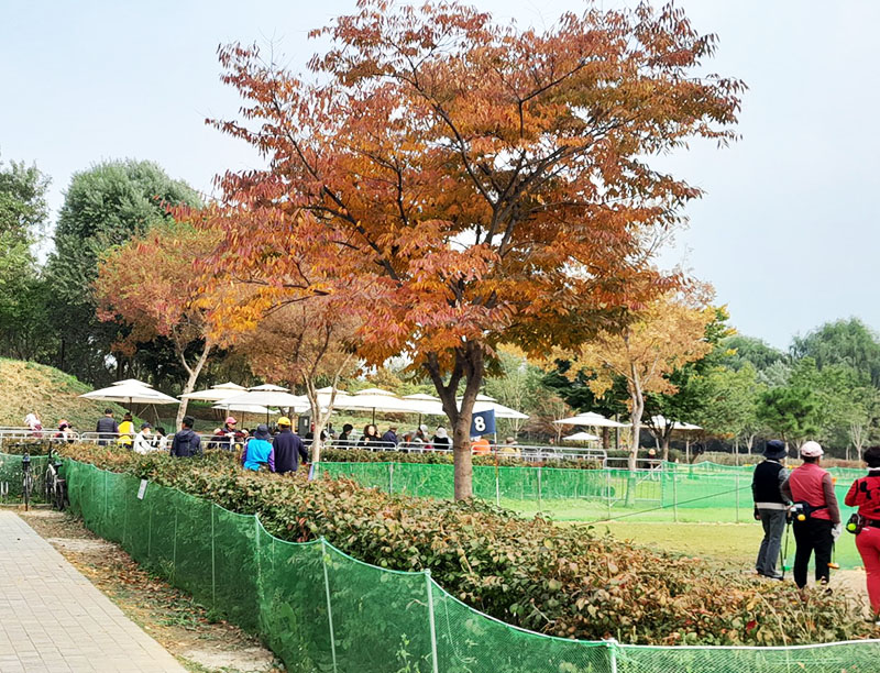 여의도 한강공원 파크골프장 소개
