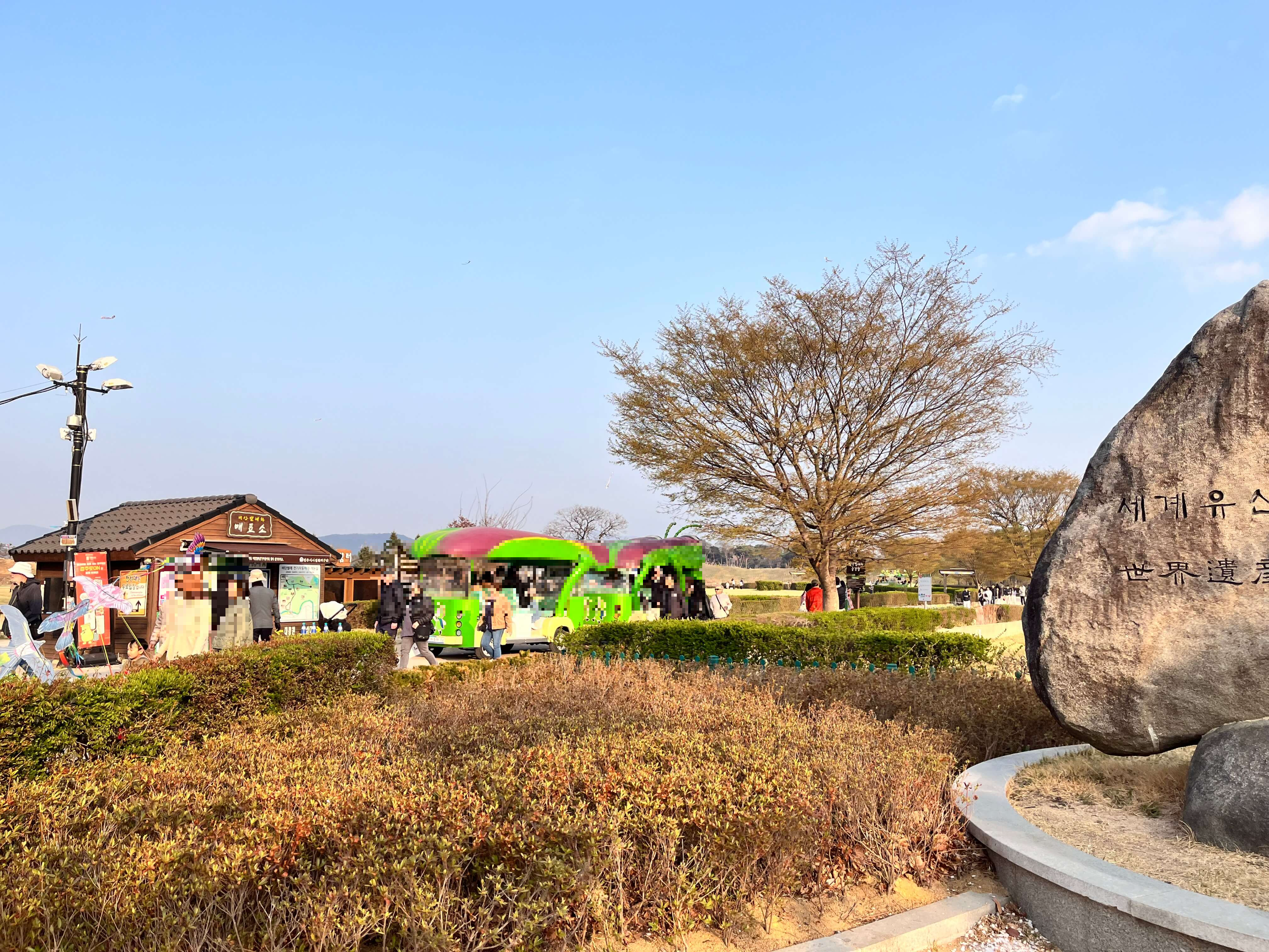 비단벌레차