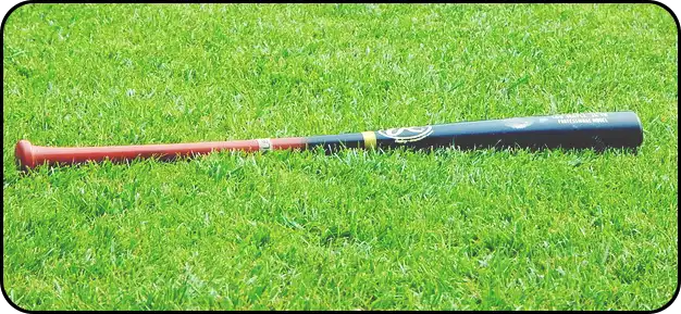 한국 대만 야구 결과 하이라이트