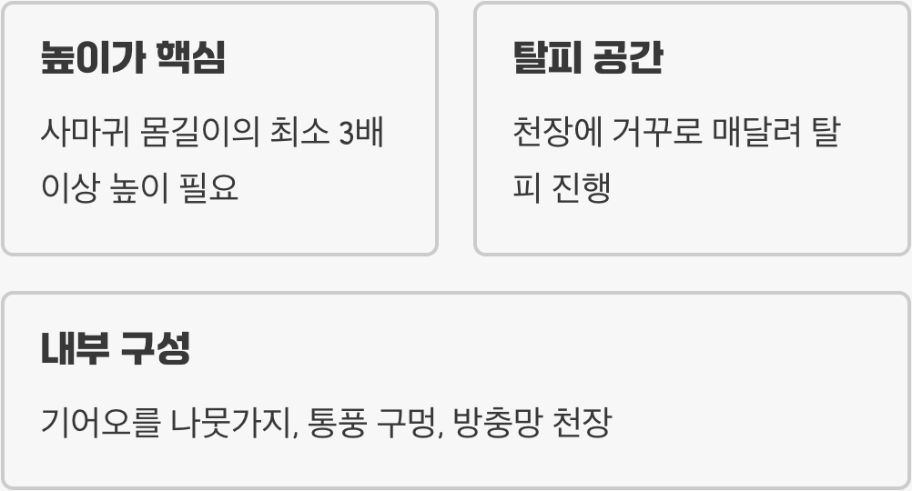 곤충의 제왕을 위한 집 꾸미기
