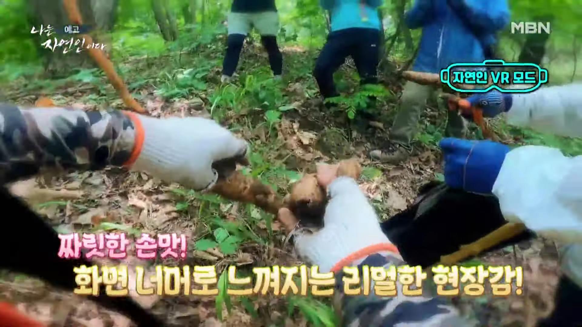 나는 자연인이다 낙상 사고 후유증, 산골 놀이터를 통해 회복, 산딸기 유기농 잼, 천마, 산삼 나눔, 출연료 기부, 키다리 아저씨 이제 착하게 삽니다 자연인 김기복 소개 및 이승윤 출연 560회회 다시보기