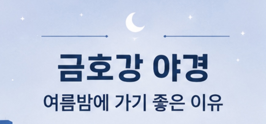 금호강 야경 여름밤에 가기 좋은 이유