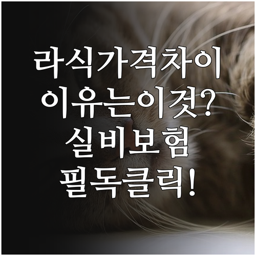 스마일라식 가격 차이 발생하는 원인과..