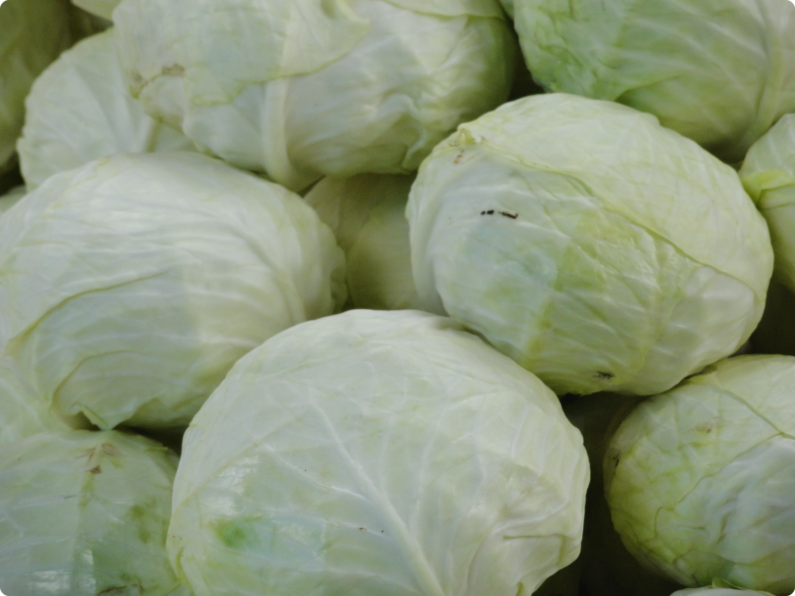 간에-좋은-음식