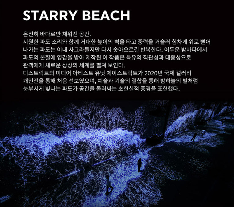 아르떼뮤지엄