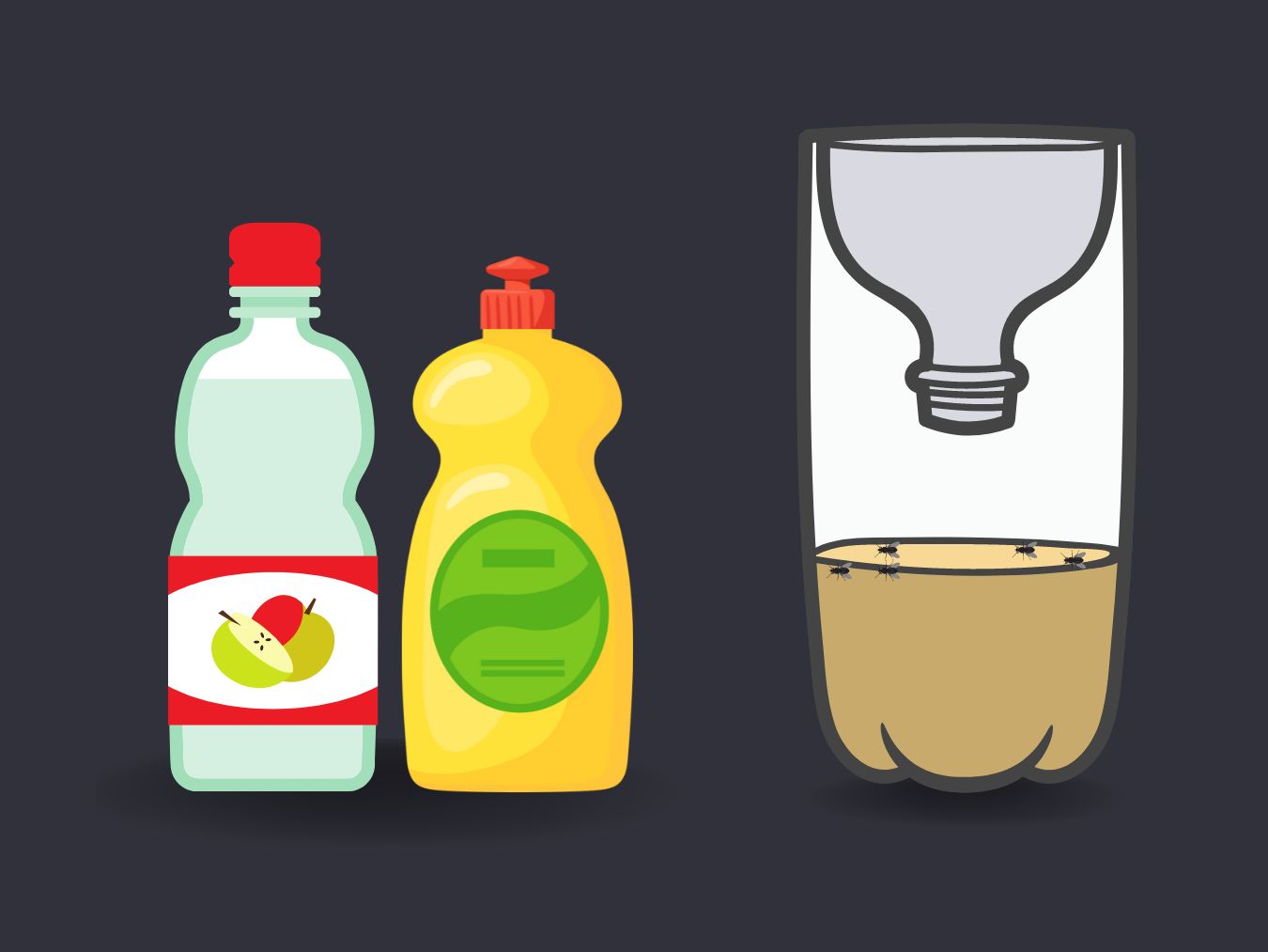 사과식초 초파리 트랩 만들기