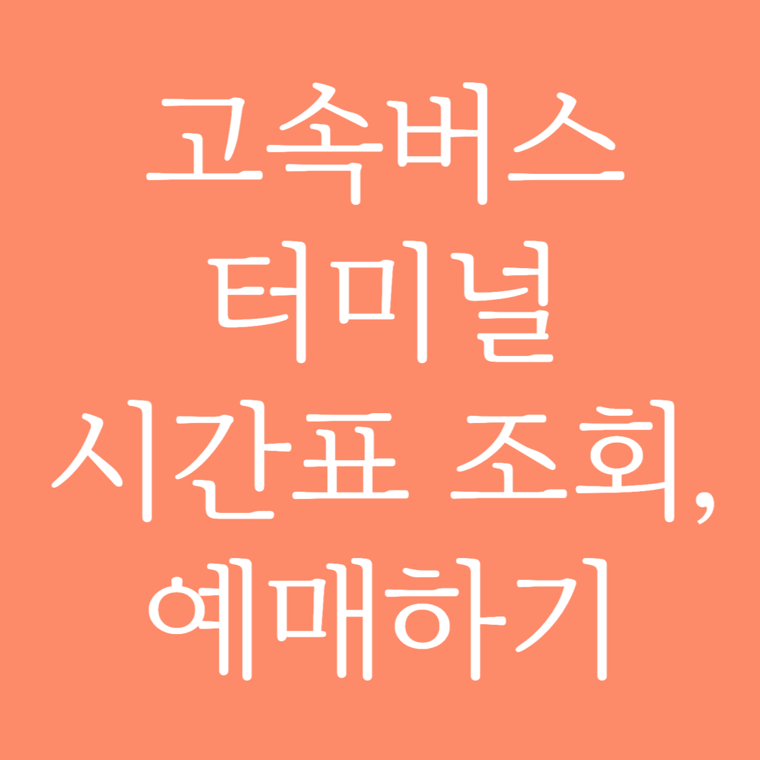 실시간 고속버스터미널 시간표 조회 및 예매하기