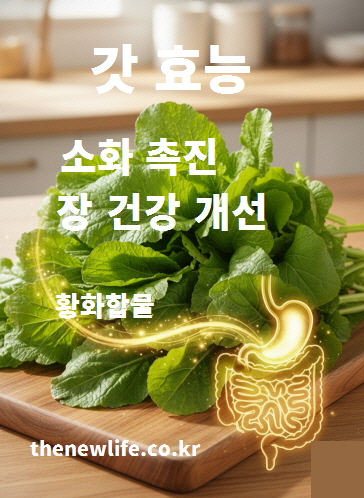 갓 효능 - 황화합물이 위액 분비와 소화 효소 활성을 돕고 장 건강을 개선하는 이미지