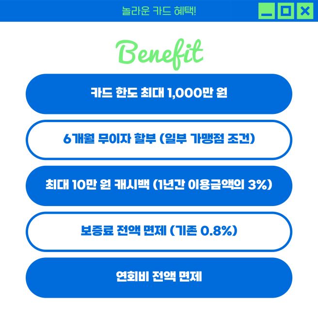 소상공인 비즈플러스카드