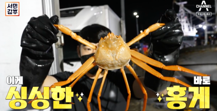 서민갑부 홍게 온라인 택배 주문 홈페이지