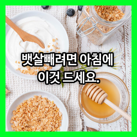 뱃살빼려면 아침에 이것 드세요. 뱃살 잡는 황금 식단