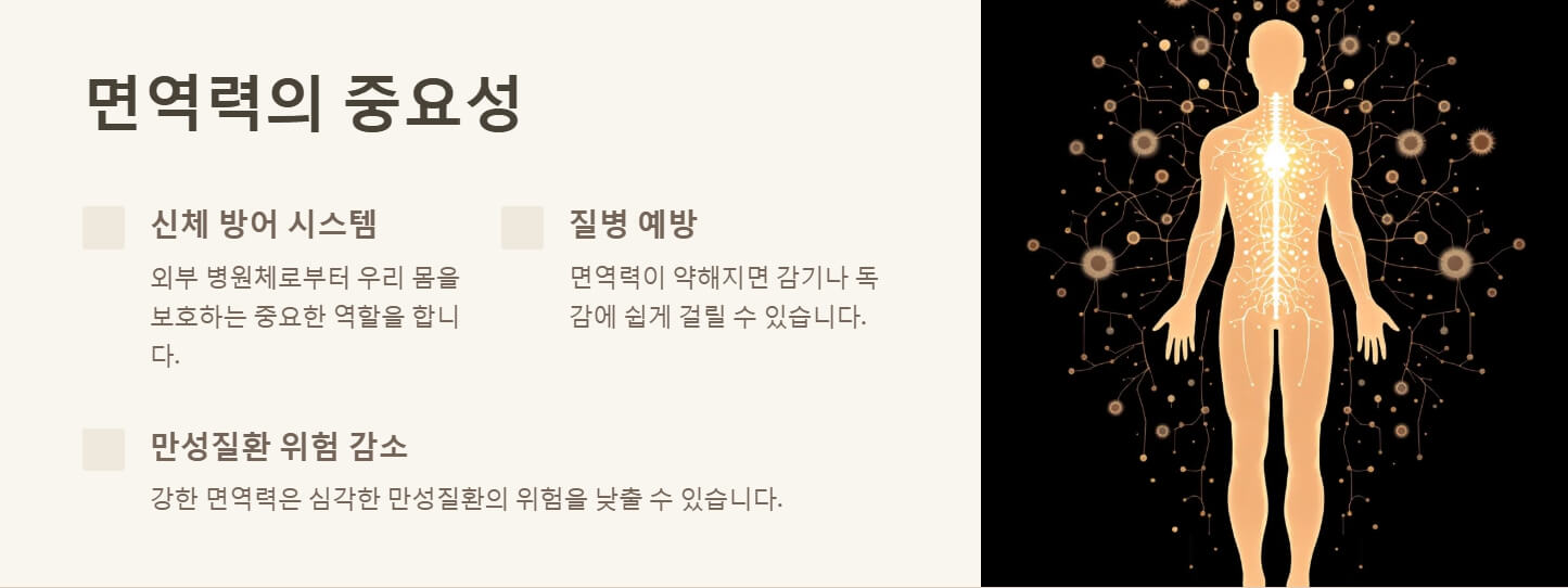 면역력에 좋은 음식