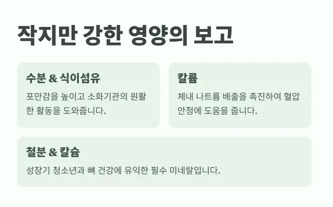 무화과-영양소 