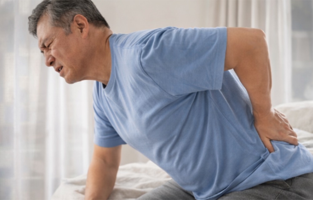 알부민 많은 음식