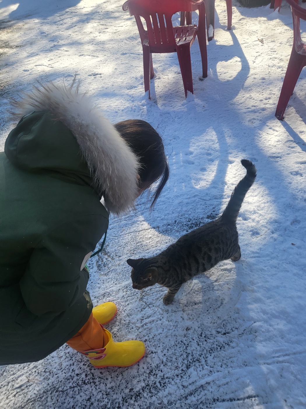 청주 묵집(묵밥), 월오동 묵집