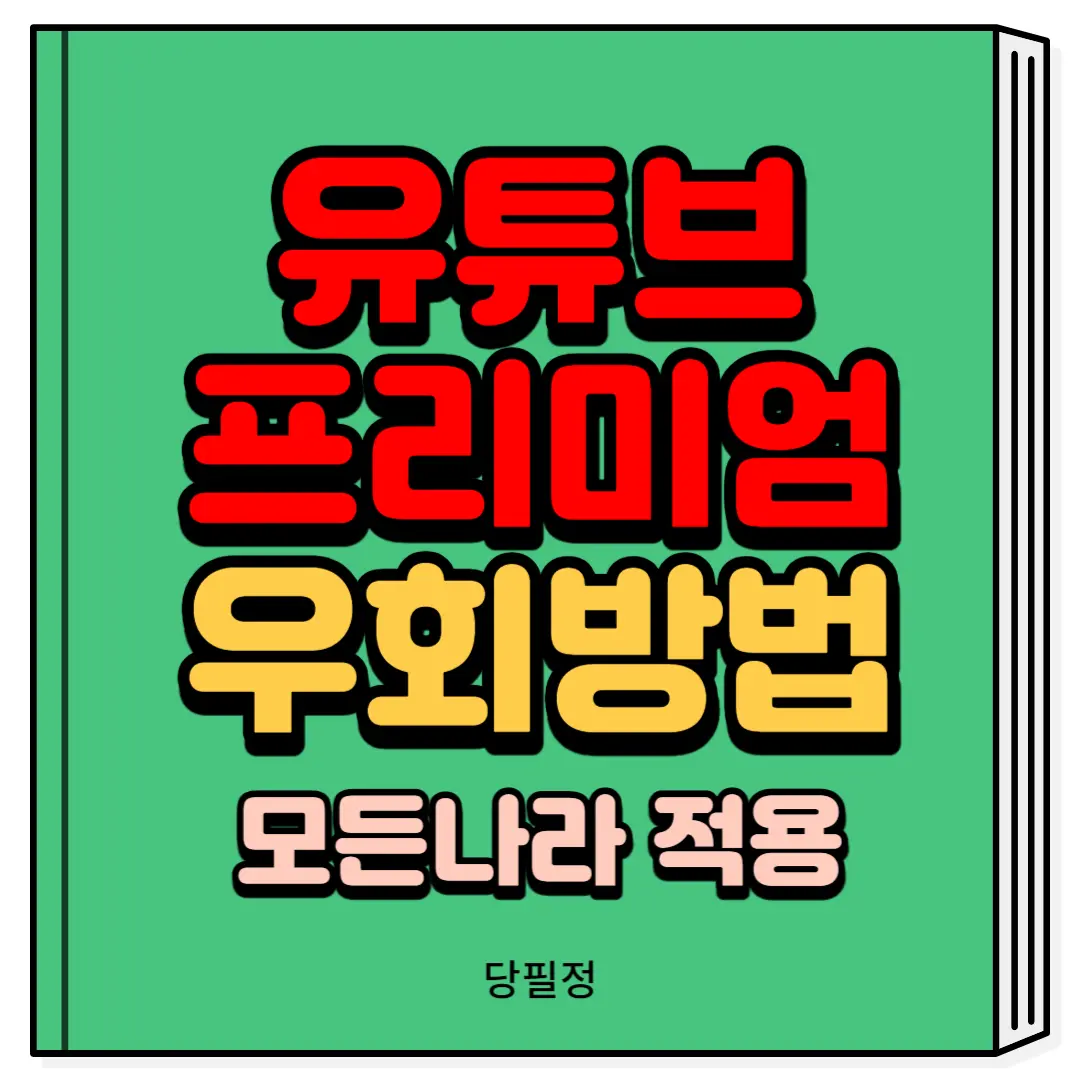 유튜브 프리미엄 터키 우크라이나 인도 아르헨티나 우회방법