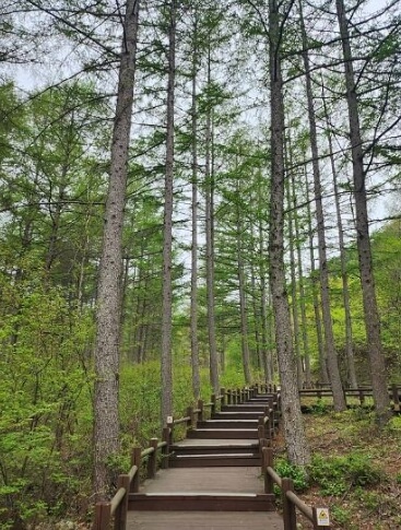 김천 가볼만한곳 베스트 10