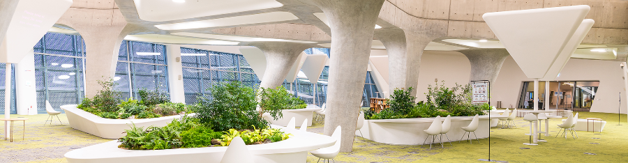 동대문디자인플라자 살아 있는 디자인 공간 - 살림터