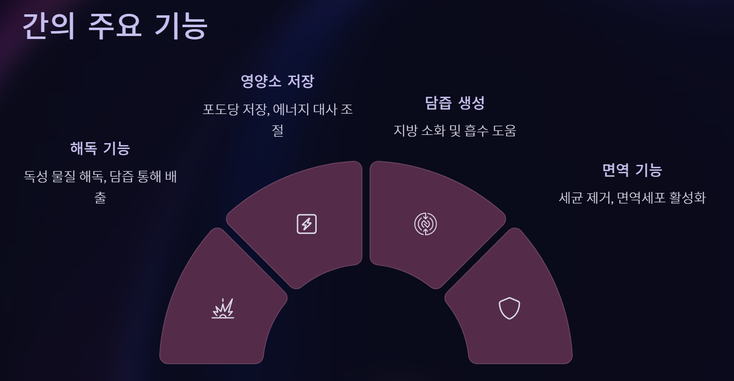 간에 좋은 음식 베스트10