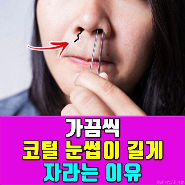 코털 콧털 눈썹 길게 나는 이유,건강