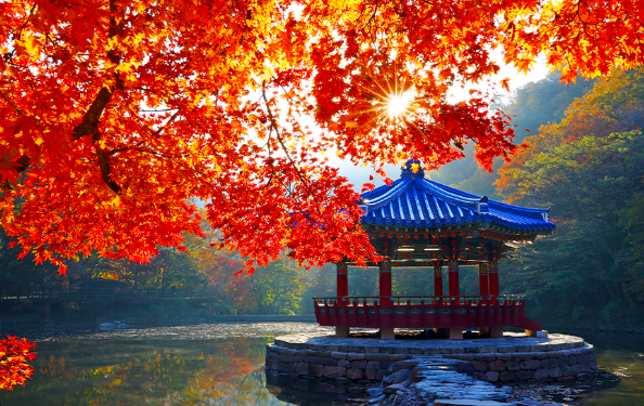 내장산 케이블카의 전경과 주변 풍경