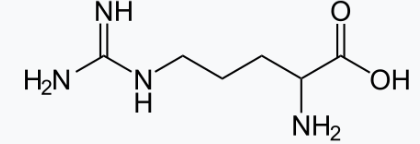 아르기닌 복용법