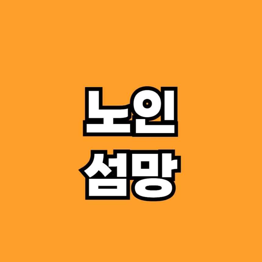 노인 섬망