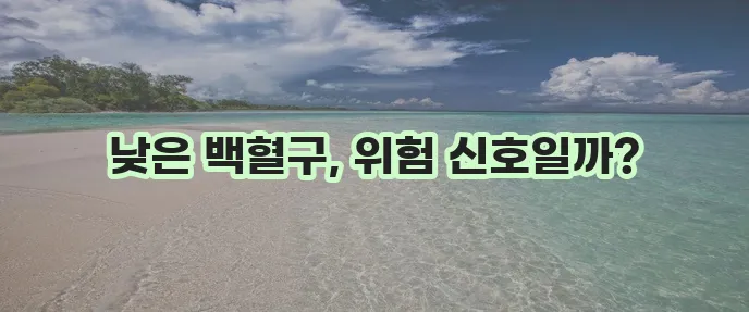 백혈구 수치가 낮은 이유와 예방이 중요합니다.