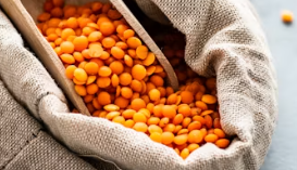 아미노산 식품들 : 곡식