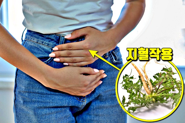 냉이 효능 지혈작용,간에좋은음식,팁줌