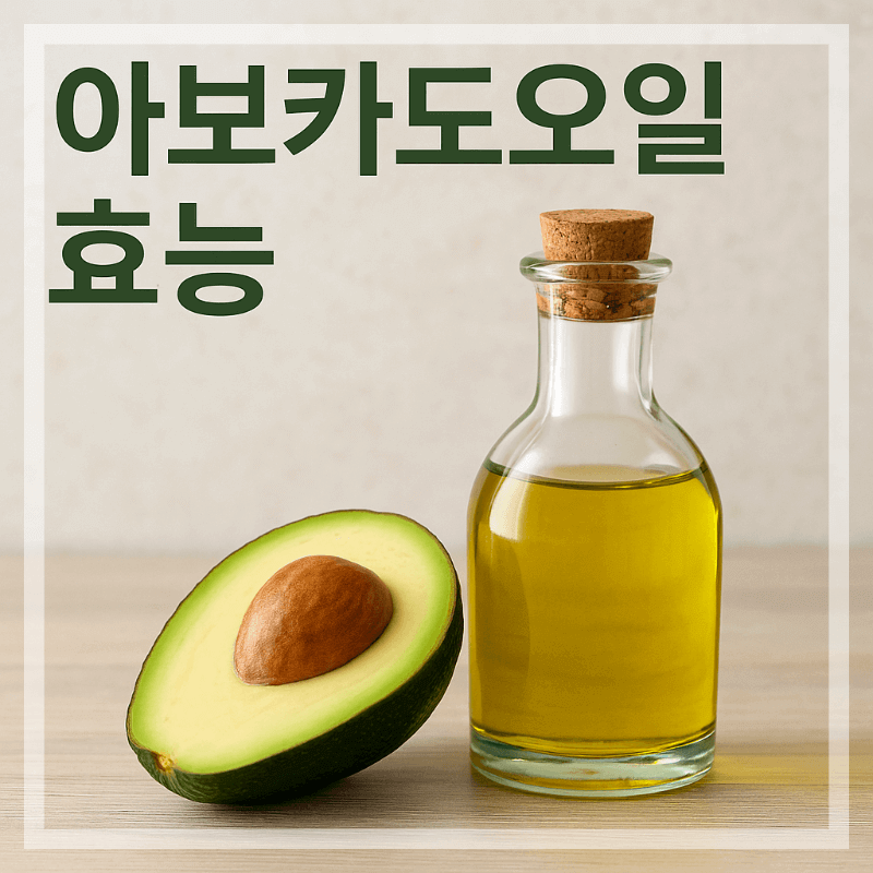 아보카도오일 효능 요약