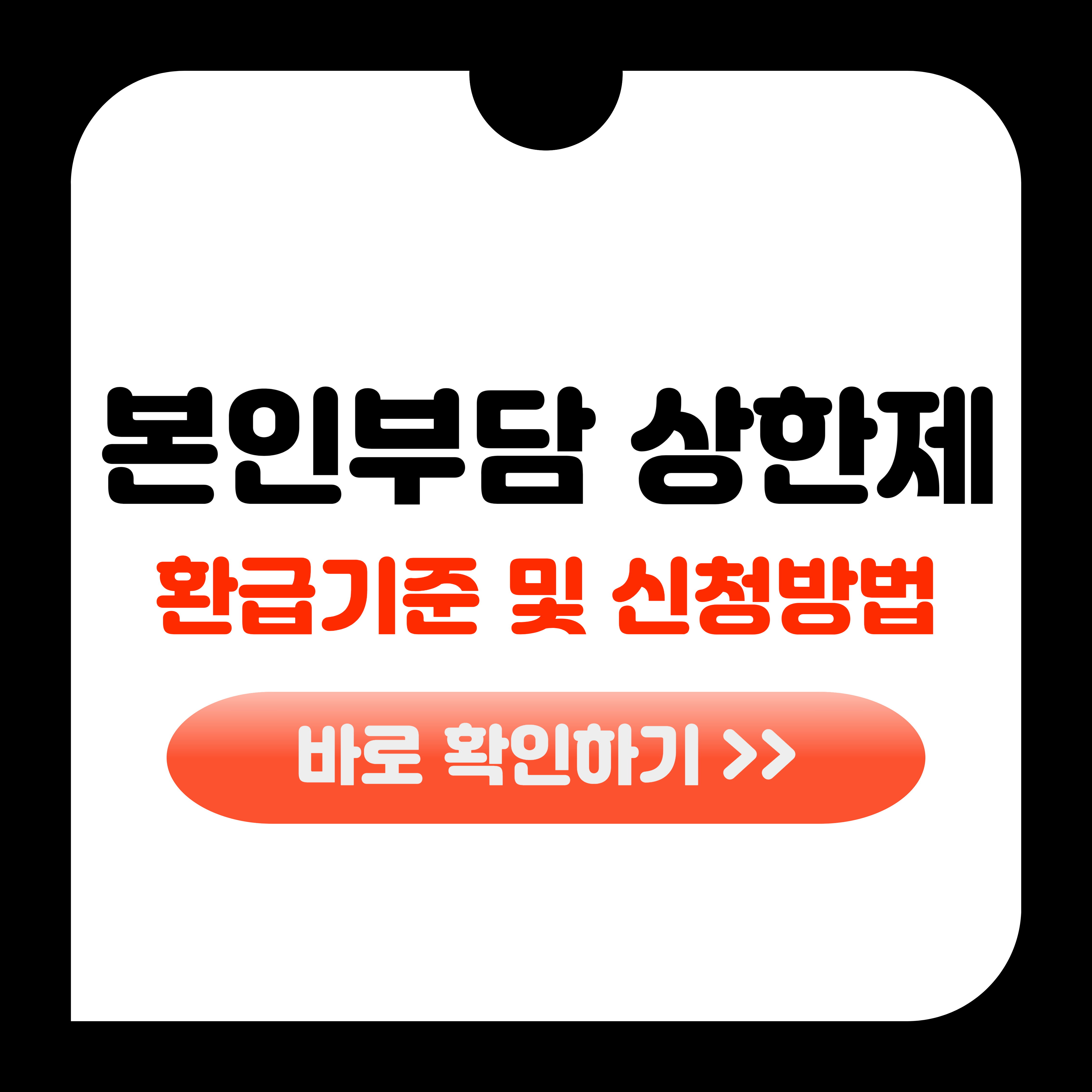 본인부담 상한제