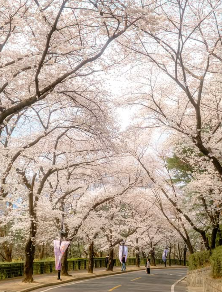 대구 이월드 자유이용권 할인