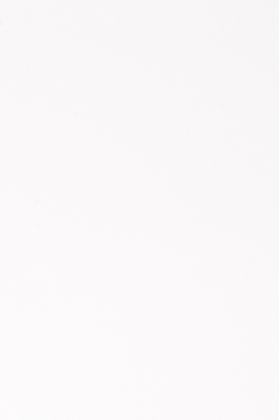 종합소득세 환급일