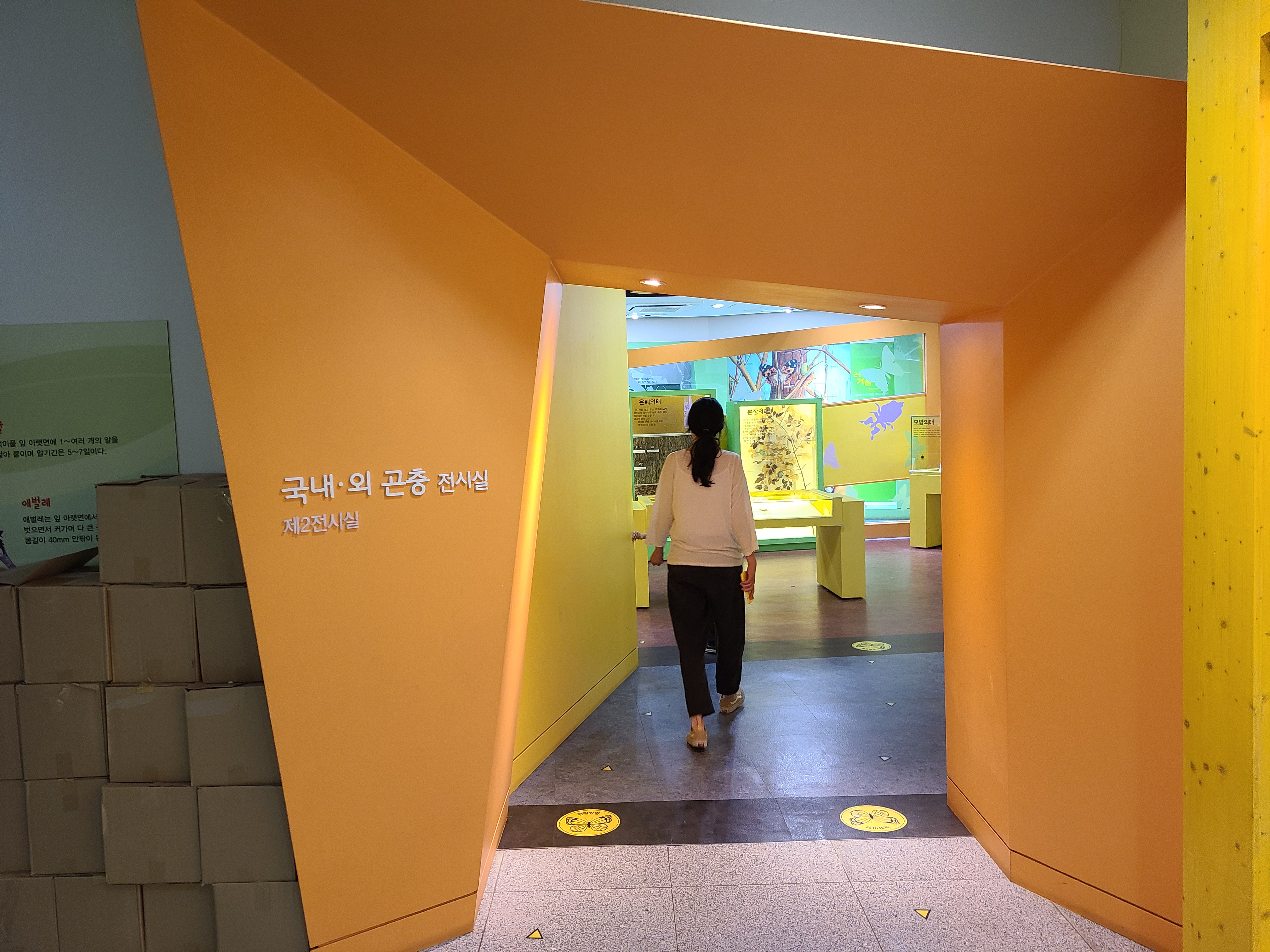 양평곤충박물관 곤충 전시실 입구
