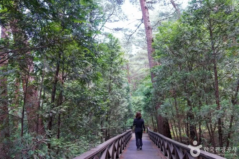 cd17fa92-8e74-4ff2-8605-afafd06c71ef