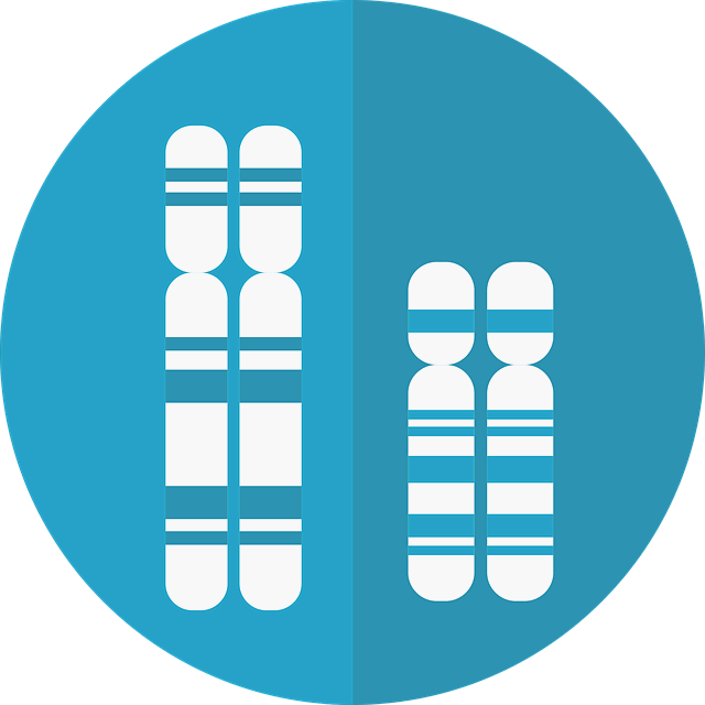 다운증후군 염색체이상 질환