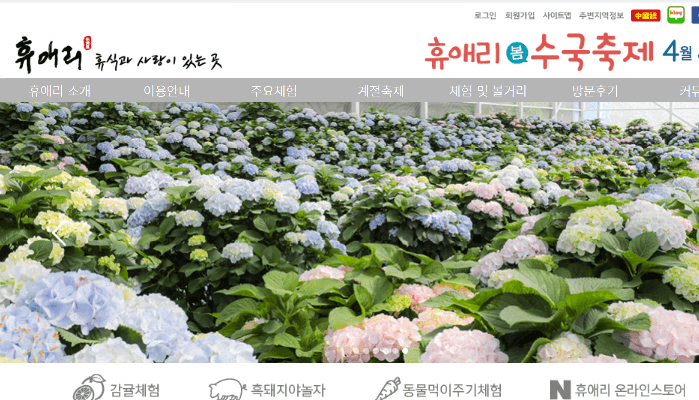 전국 봄꽃 축제